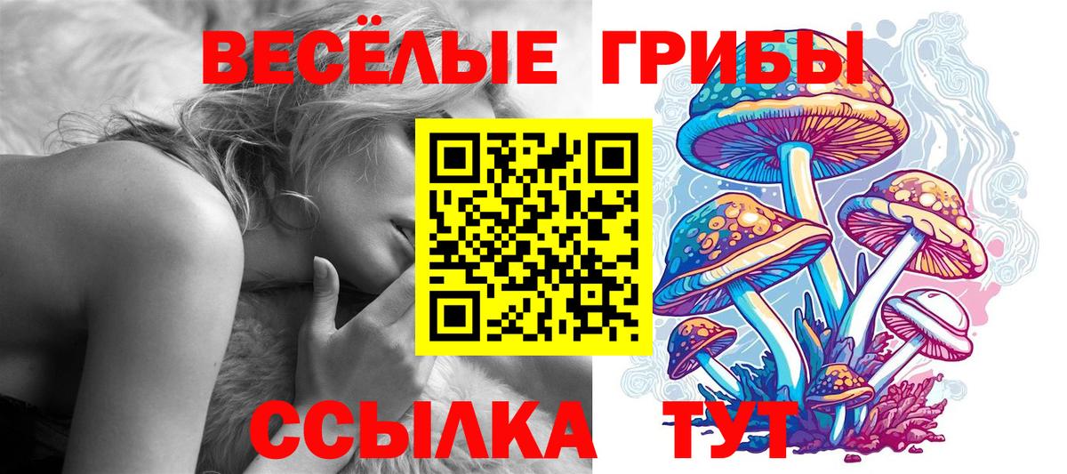 Галлюциногенные грибы ЛСД Псков