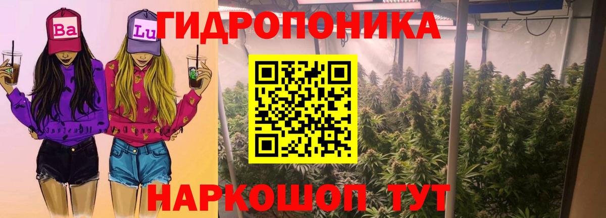 Канабис OG Kush  Вход с VPN  МАРИХУАНА ГИДРОПОН  Псков  Бошки Шишки LSD WEED 
